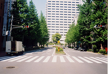 jRC̎O