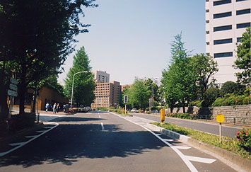 jRCt